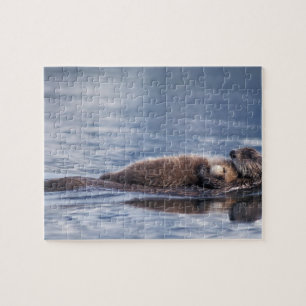 Quebra-cabeça lontra marinha, Enhydra lutris lutris