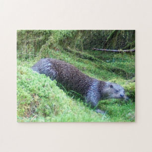 Quebra-cabeça Lontra Pacífica Ribeirinha Natureza Vida Selvagem