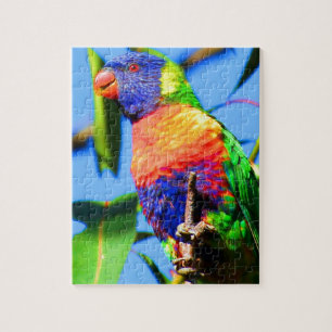 Quebra-cabeça lorikeet do arco-íris