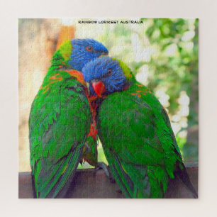 Quebra-cabeça Lorikeets Arco-íris Austrália