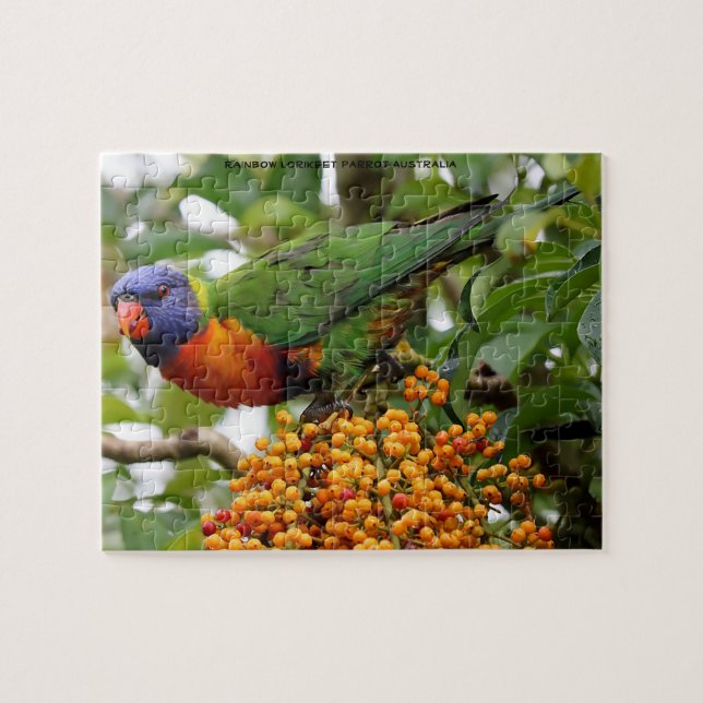 Quebra-cabeça Lorikeets Arco-íris Austrália (Horizontal)