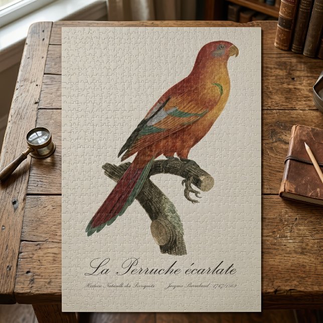 Quebra-cabeça Lório-vermelho ou Eos Bornea, Trichoglossus borneu (Red Lory or Eos Bornea, Trichoglossus borneus. Jigsaw Puzzle)