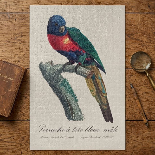 Quebra-cabeça Loriqueet Arco-íris Macho, Trichoglossus Moluccanu (Rainbow Lorikeet Male, Trichoglossus Moluccanus. Jigsaw Puzzle)