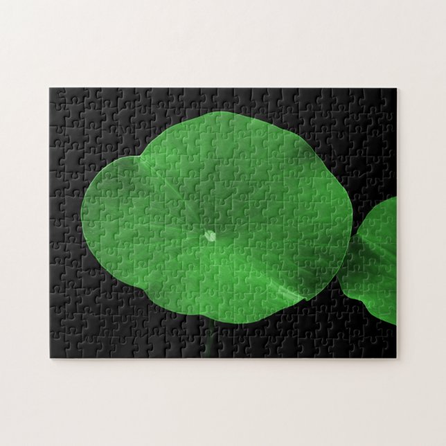 Quebra-cabeça Lotus Folaves (Horizontal)