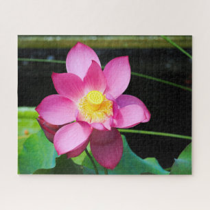 Quebra-cabeça Lotus Rosa Quente