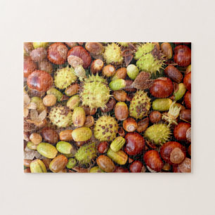 Quebra-cabeça Loucos e conkers do outono
