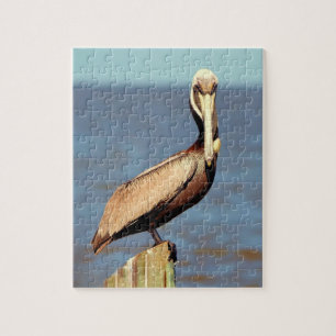 Quebra-cabeça Louisiana Brown Pelican 4.jpg