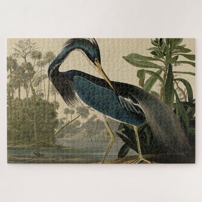 Quebra-cabeça Louisiana Heron - das Aves da América de Audubon (Horizontal)