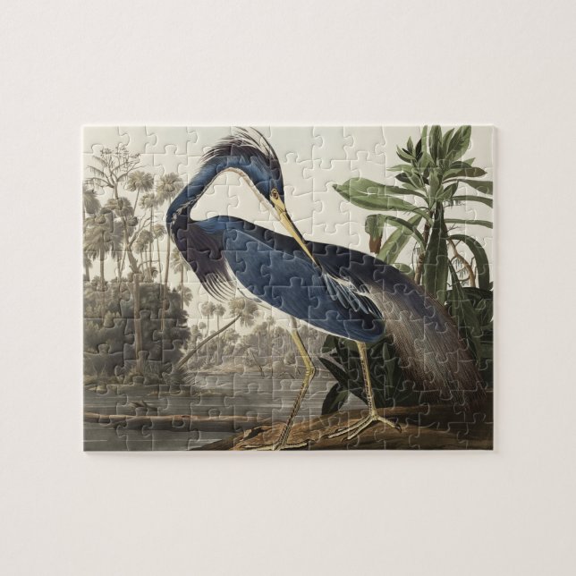 Quebra-cabeça Louisiana Heron de Birds da América (Horizontal)