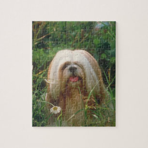 Quebra-cabeça louro do cão de Lhasa Apso