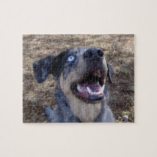 Quebra-cabeça Lousiana Catahoula Leopard Dog