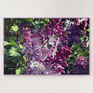 Quebra-cabeça Lovely Lilacs Bloom em Ohio Springtime