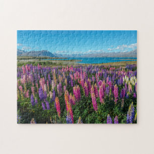 Quebra-cabeça Lupines de Russle no lago Tekapo   Nova Zelândia