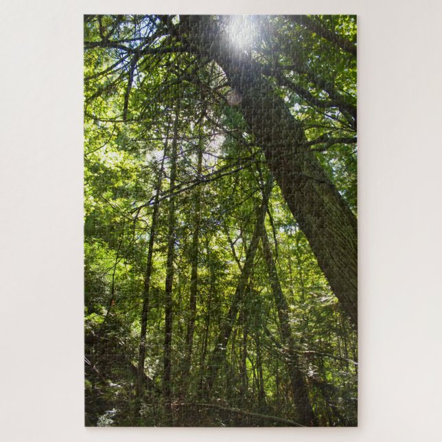 Quebra-cabeça Luz Solar Através do Dossel Florestal (Vertical)
