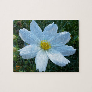 Quebra-cabeça Luz Solar na Flor de Cosmos Branco