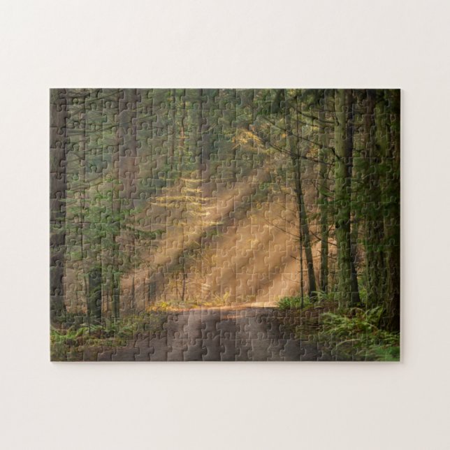 Quebra-cabeça Luz solar que brilha através de uma floresta (Horizontal)