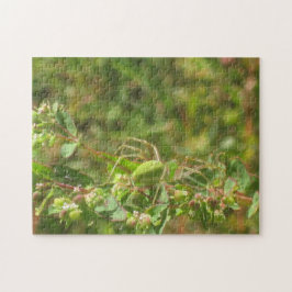 Quebra-cabeça Lynx Spider Verde