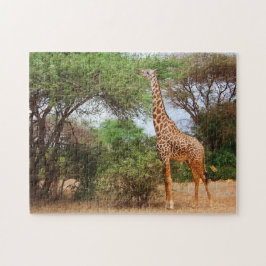 Quebra-cabeça Maasai Giraffe
