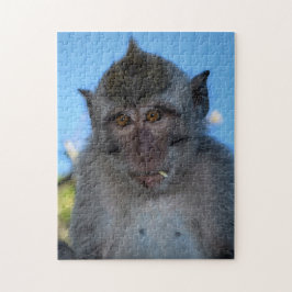 Quebra-cabeça Macaco