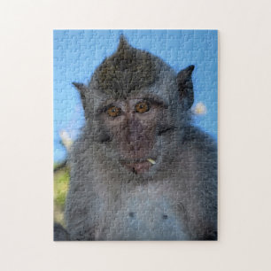 Quebra-cabeça Macaco
