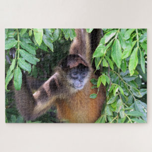 Quebra-cabeça macaco