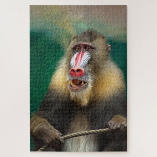 Quebra-cabeça Macaco