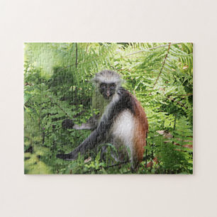 Quebra-cabeça macaco