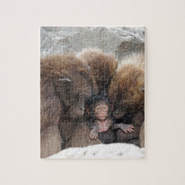 Quebra-cabeça Macaco