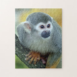 Quebra-cabeça Macaco 004