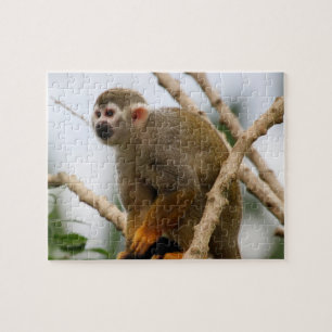 Quebra-cabeça Macaco_2014_1201