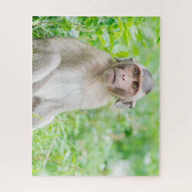 Quebra-cabeça Macaco-aranha-marrom-bonito (Vertical)