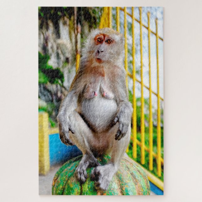 Quebra-cabeça Macaco-cinzento (Vertical)