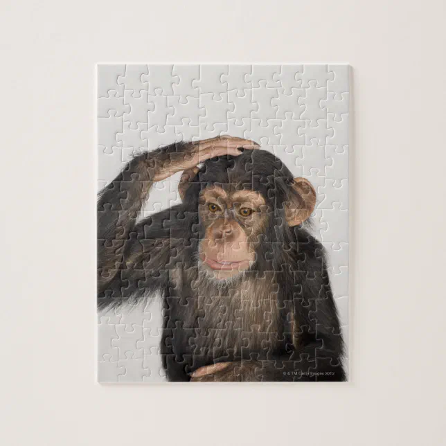 macaco branco e preto em close-up fotografia - puzzle online