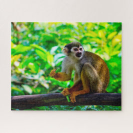Quebra-cabeça Macaco-de-cheiro.