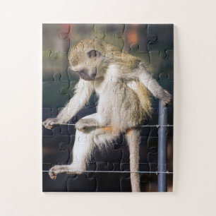 Quebra-cabeça Macaco em pensamento profundo