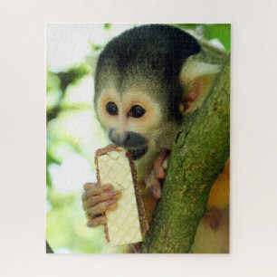 Quebra-cabeça Macaco-esquilo-do-bebê giro comendo um biscoito d