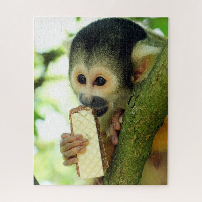 Quebra-cabeça Macaco-esquilo-do-bebê giro comendo um biscoito de (Vertical)