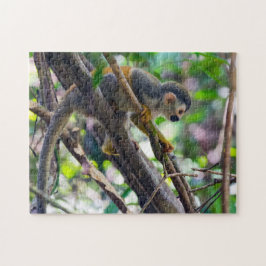 Quebra-cabeça Macaco esquilo em Manuel Antonio NP - Costa Rica
