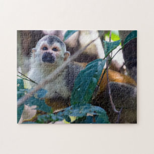 Quebra-cabeça Macaco-esquilo em Manuel Antonio NP - Costa Rica