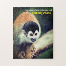 Macaco esquilo na árvore