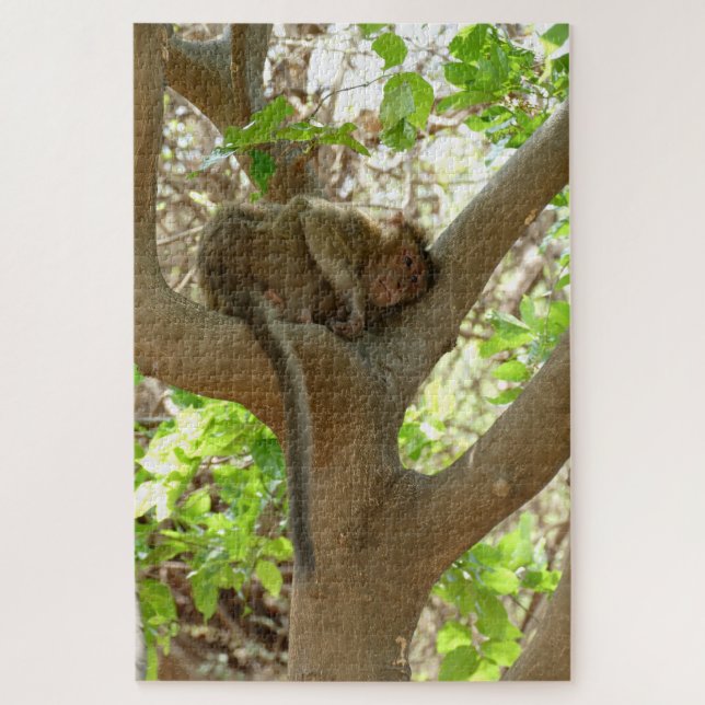 Quebra-cabeça Macaco - Estou tão cansado (Vertical)