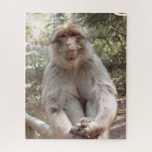 Quebra-cabeça Macaco fofo