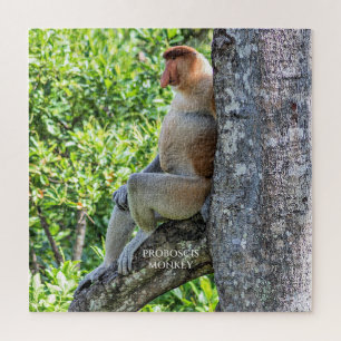 Quebra-cabeça Macaco Narigudo