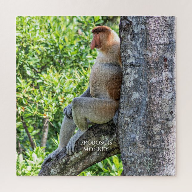 Quebra-cabeça Macaco Narigudo (Vertical)