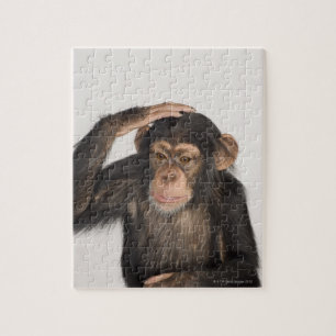 Quebra-cabeça Macaco que risca sua cabeça