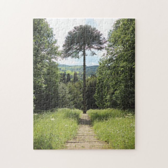 Quebra-cabeça Macaco-quebra-cabeça (Vertical)