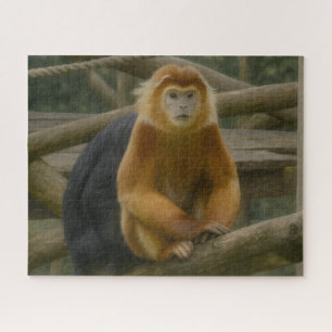 Quebra-cabeça Macaco Snub-Nosed no Refúgio em Woodland