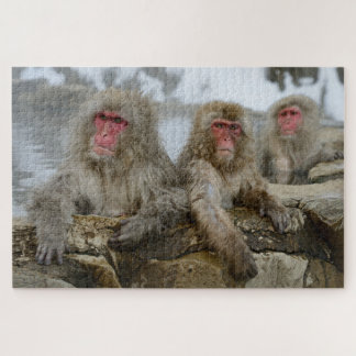 Quebra-cabeça Macacos-da-neve na Piscina de Primavera quente no
