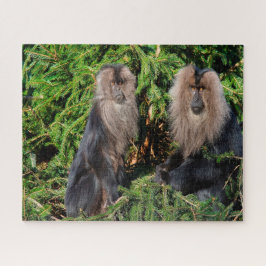 Quebra-cabeça Macacos de cauda longa balineses.