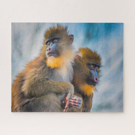 Quebra-cabeça Macacos Mandrill.